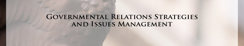 Governmental Relations Strategies and Issues Management logo